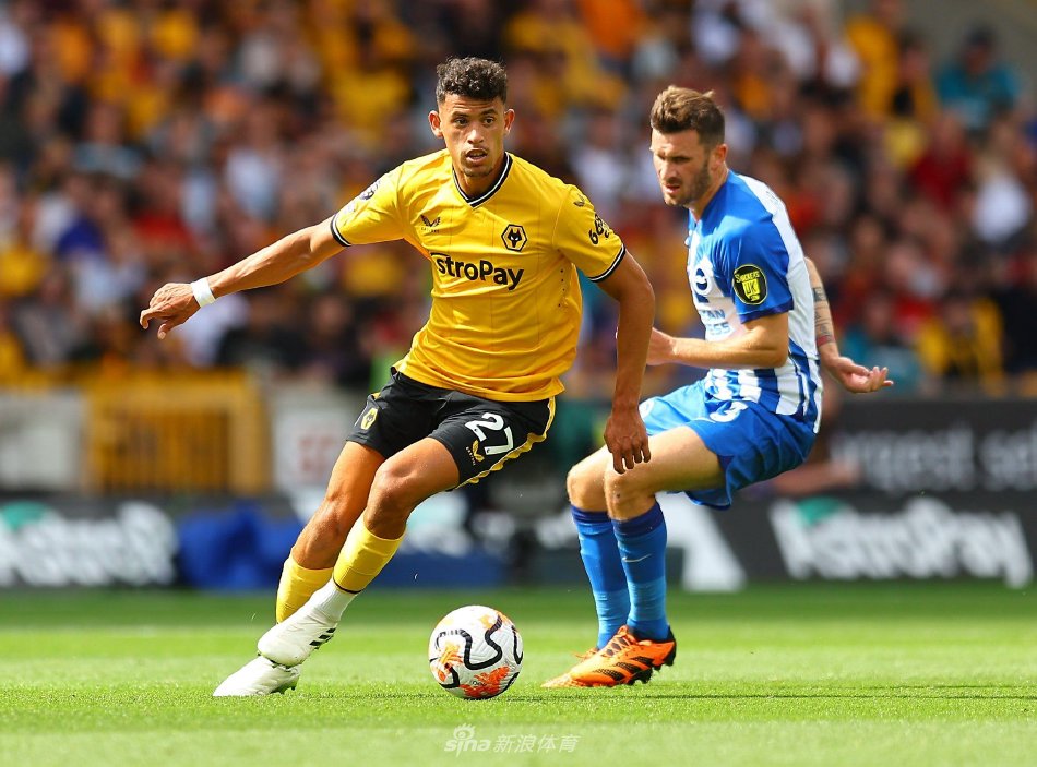 安全底牌 安全底牌