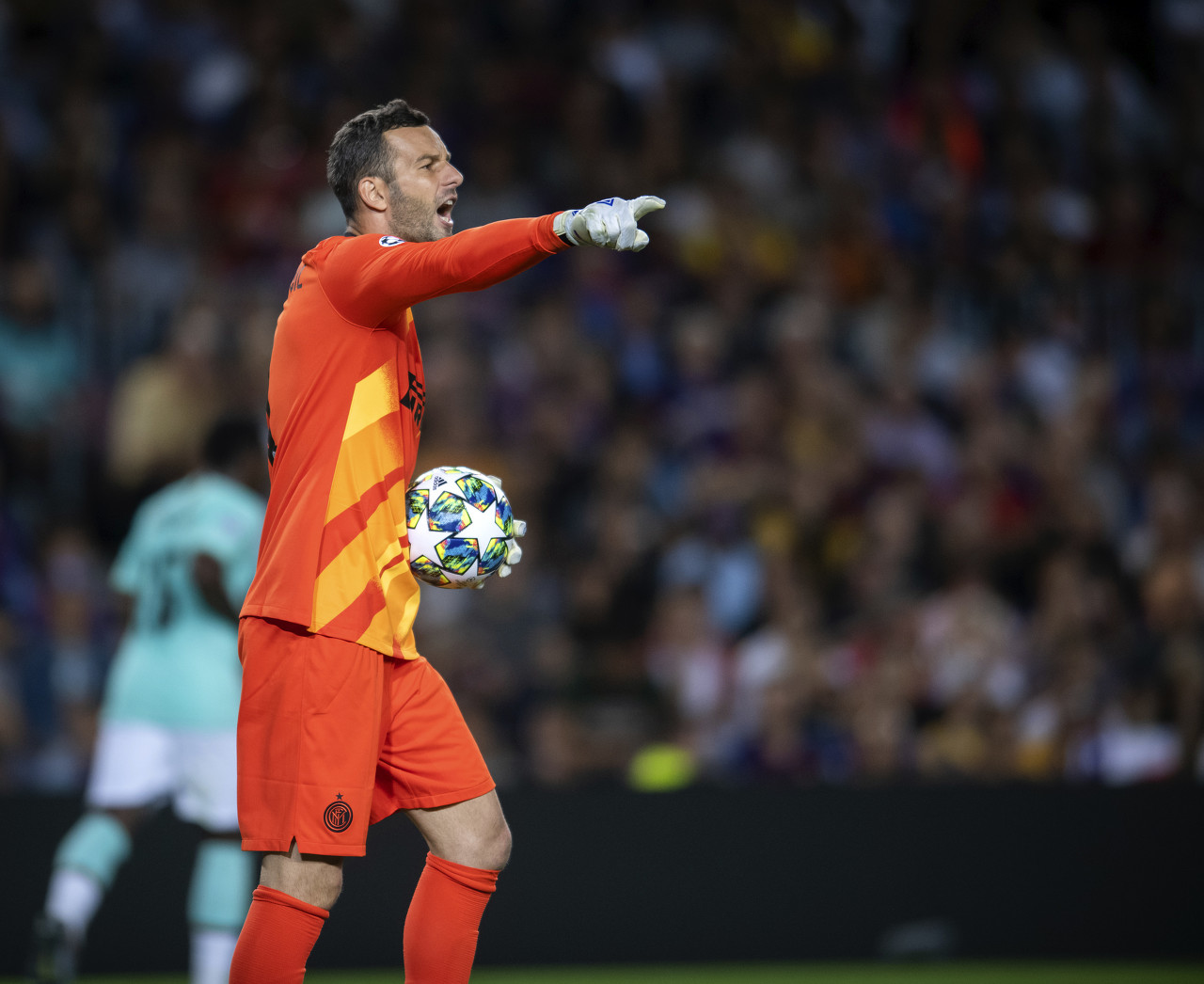 比赛不仅吸 比赛不仅吸